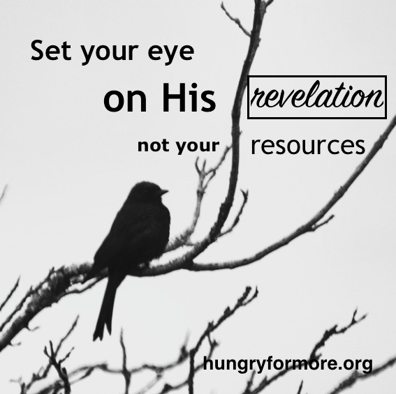 revelation resources